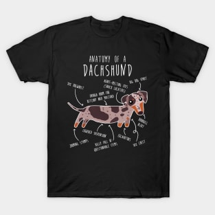 Red Dapple Dachshund Dog Anatomy T-Shirt